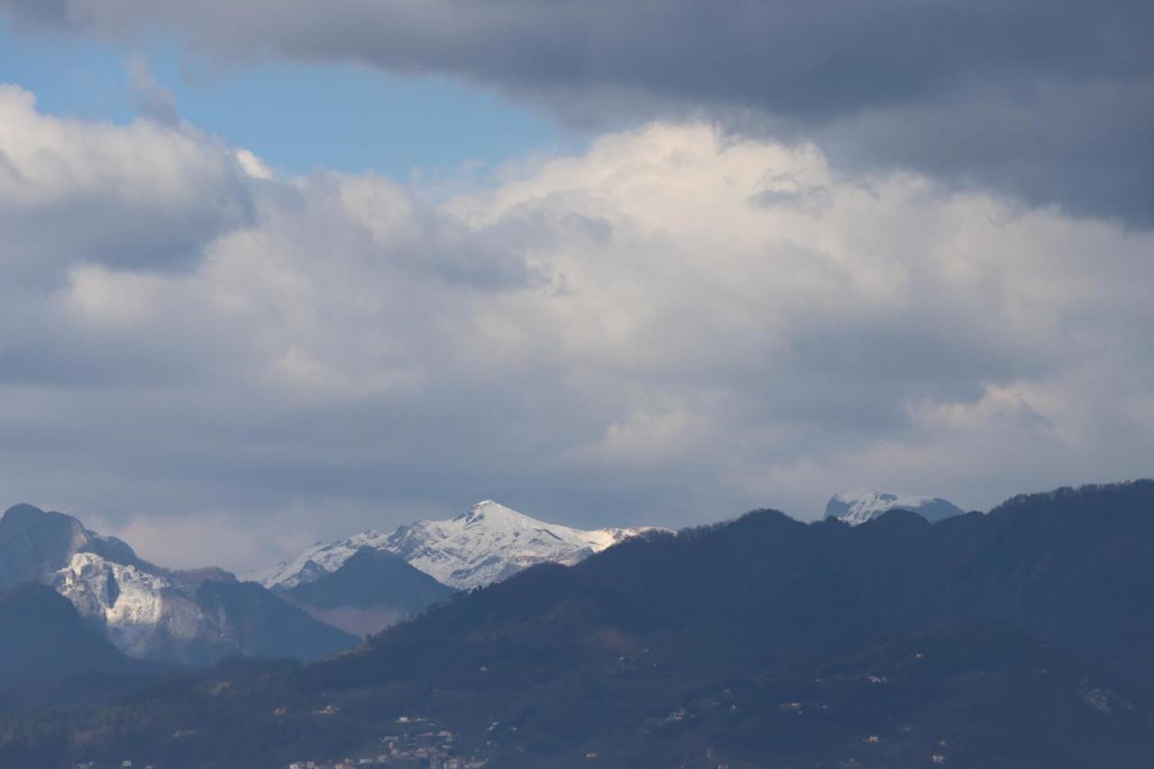 Myricae Villa Viareggio Bagian luar foto